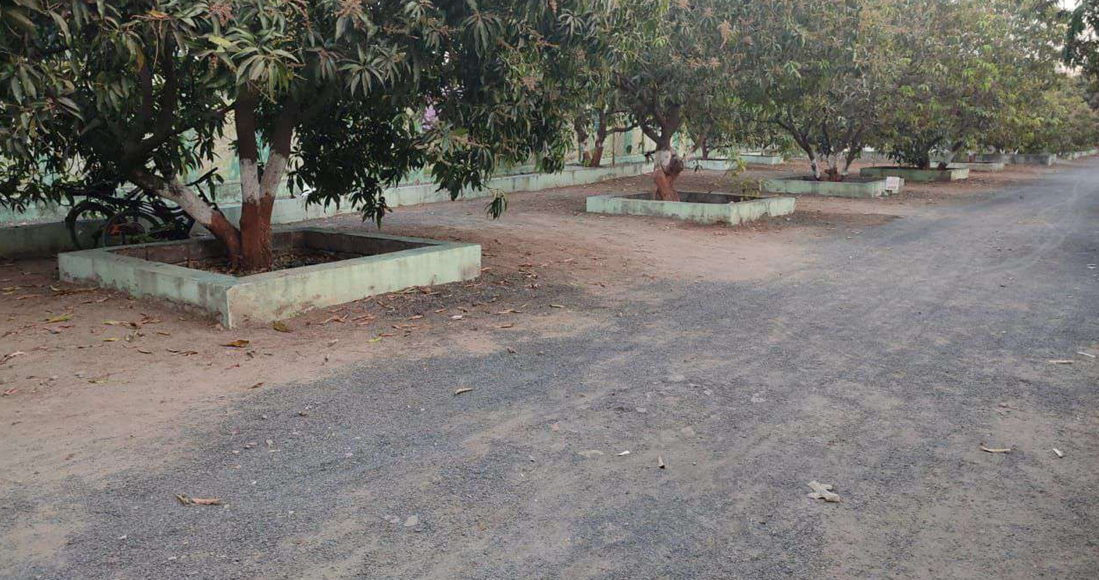 Mrs. Gitaben Karsanbhai Gadhesariya