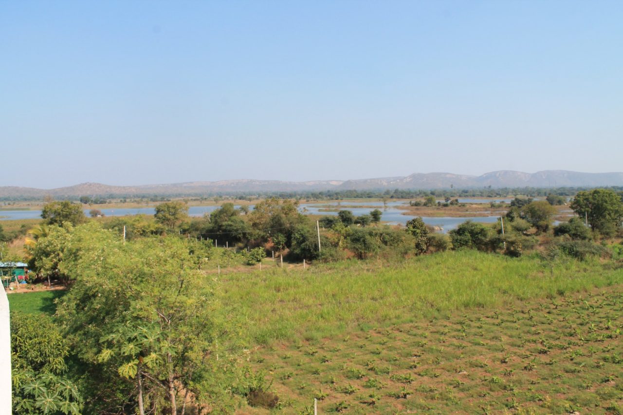 Mrs. Nirmalaben Madhusudan Gandharva